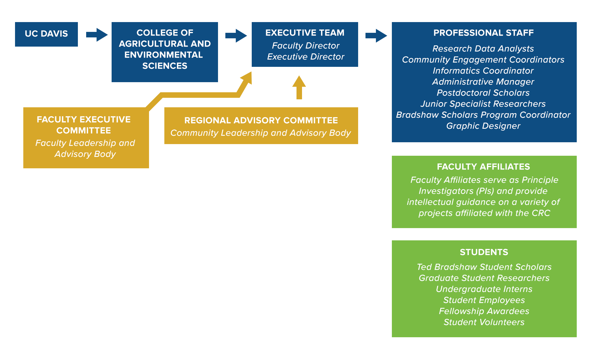 org chart