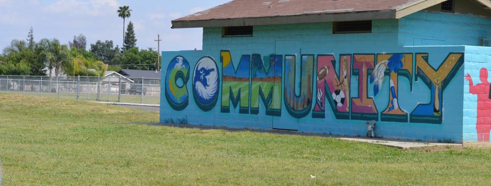 Community 
