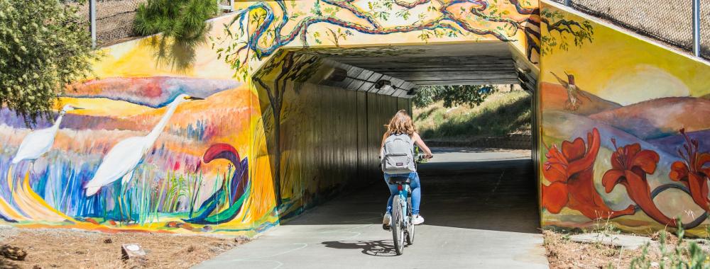 Tunnel