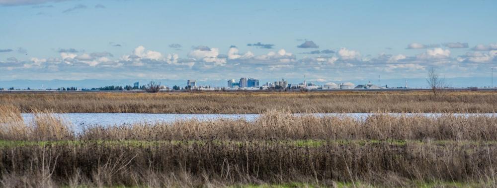 West Sac Delta 