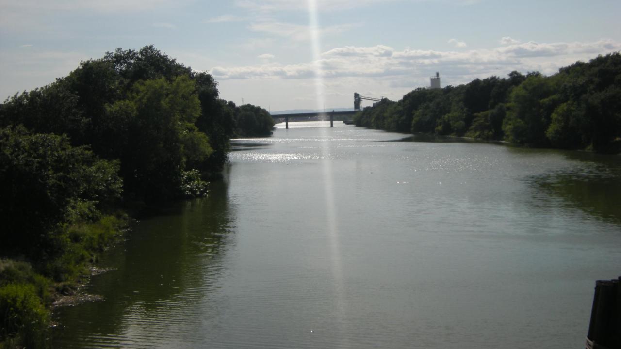 Picture