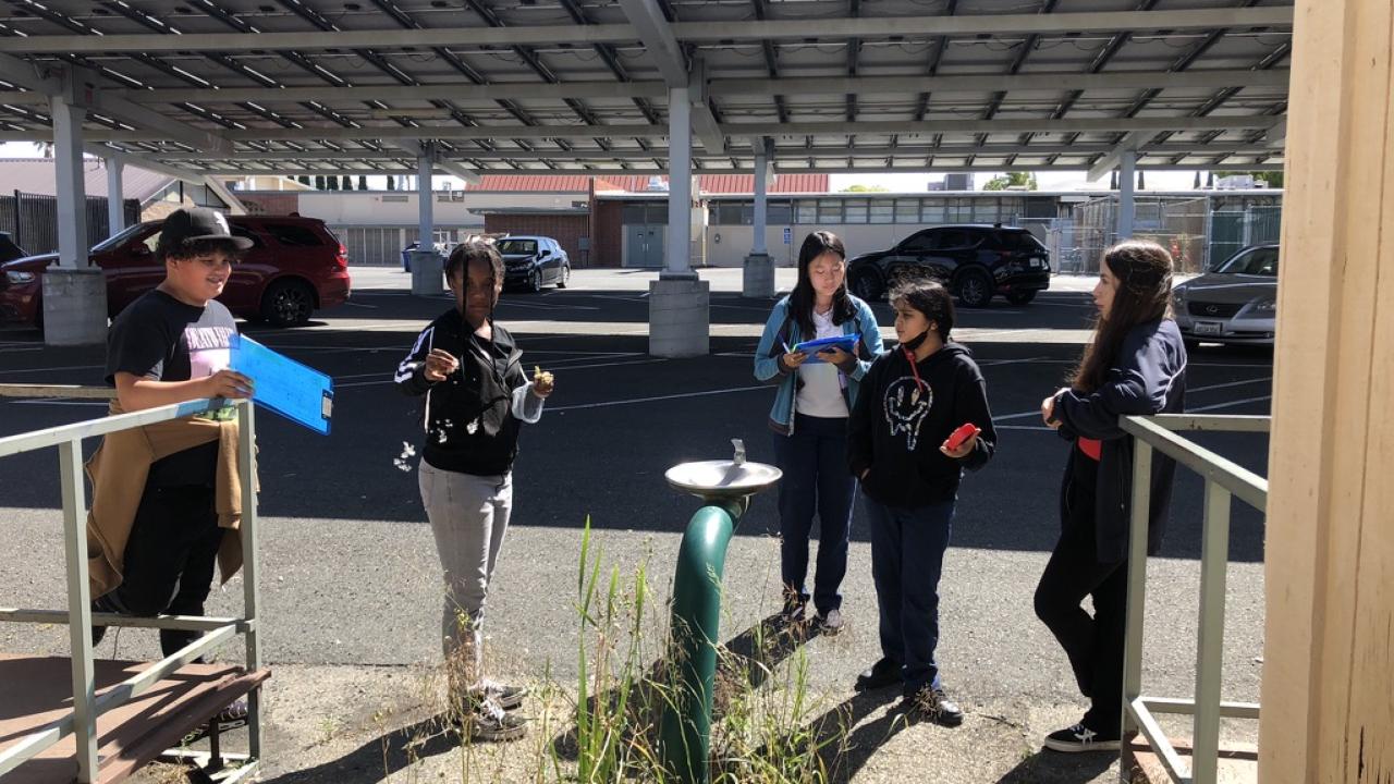 contra costa UCCE YPAR team