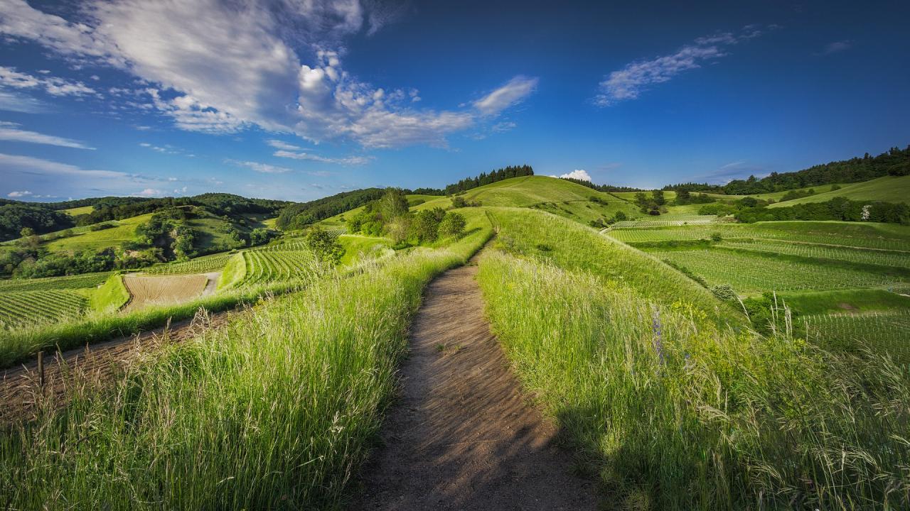 countryside