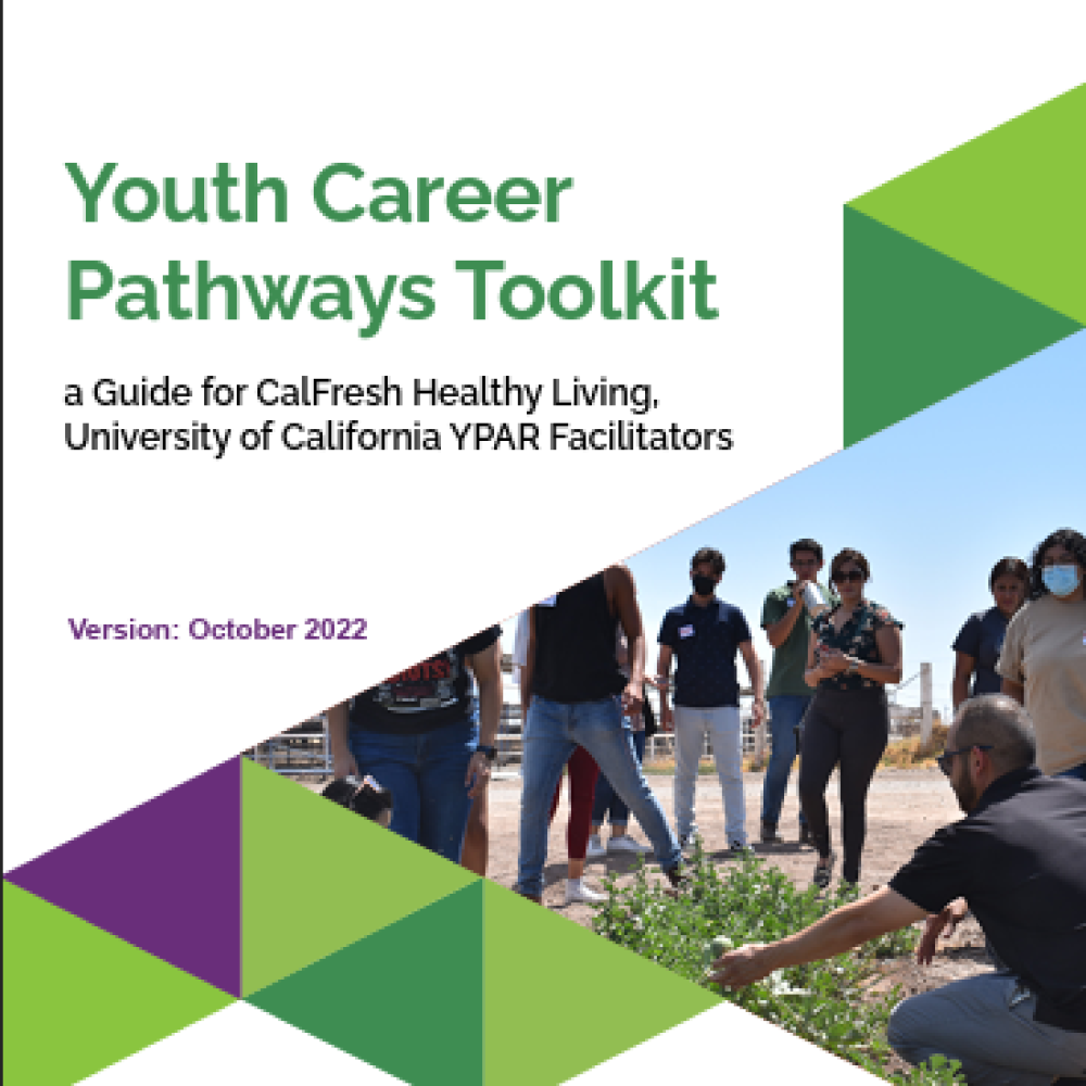 youth career toolkit